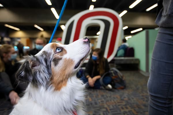 Roxie and MPT partners