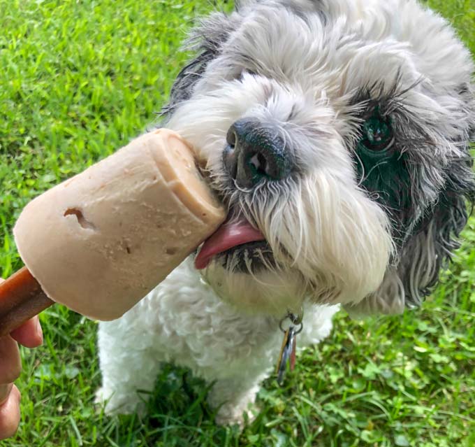 Easy Dog Pops