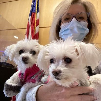 Darcy with Roo and Roxy